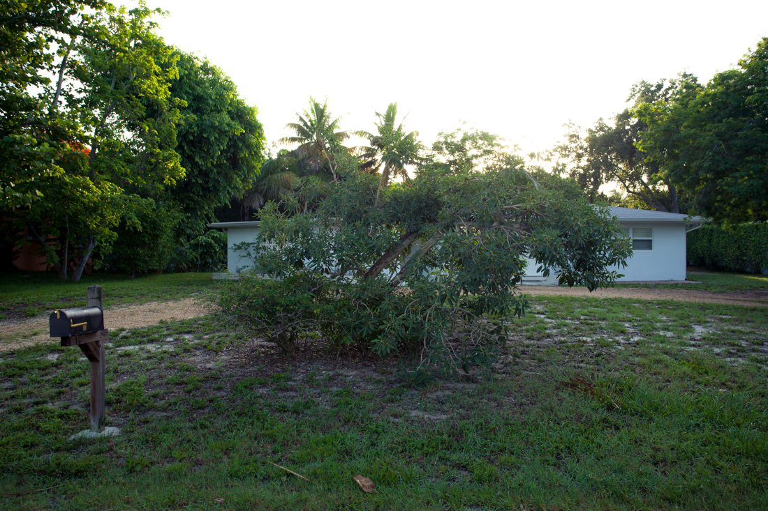 Floria-Haus-6