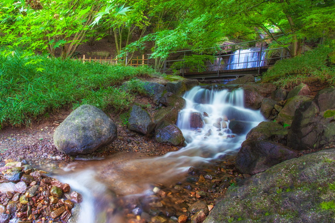 Trauttmansdorff-Sommer-2