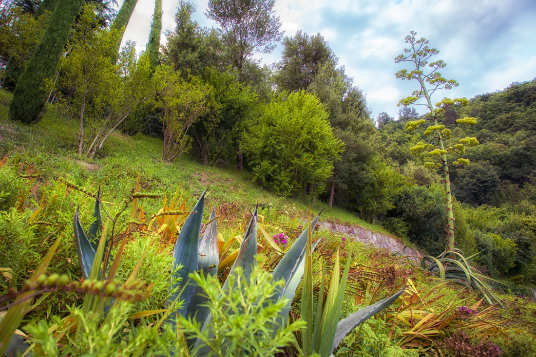 Trauttmansdorff-Sommer-3