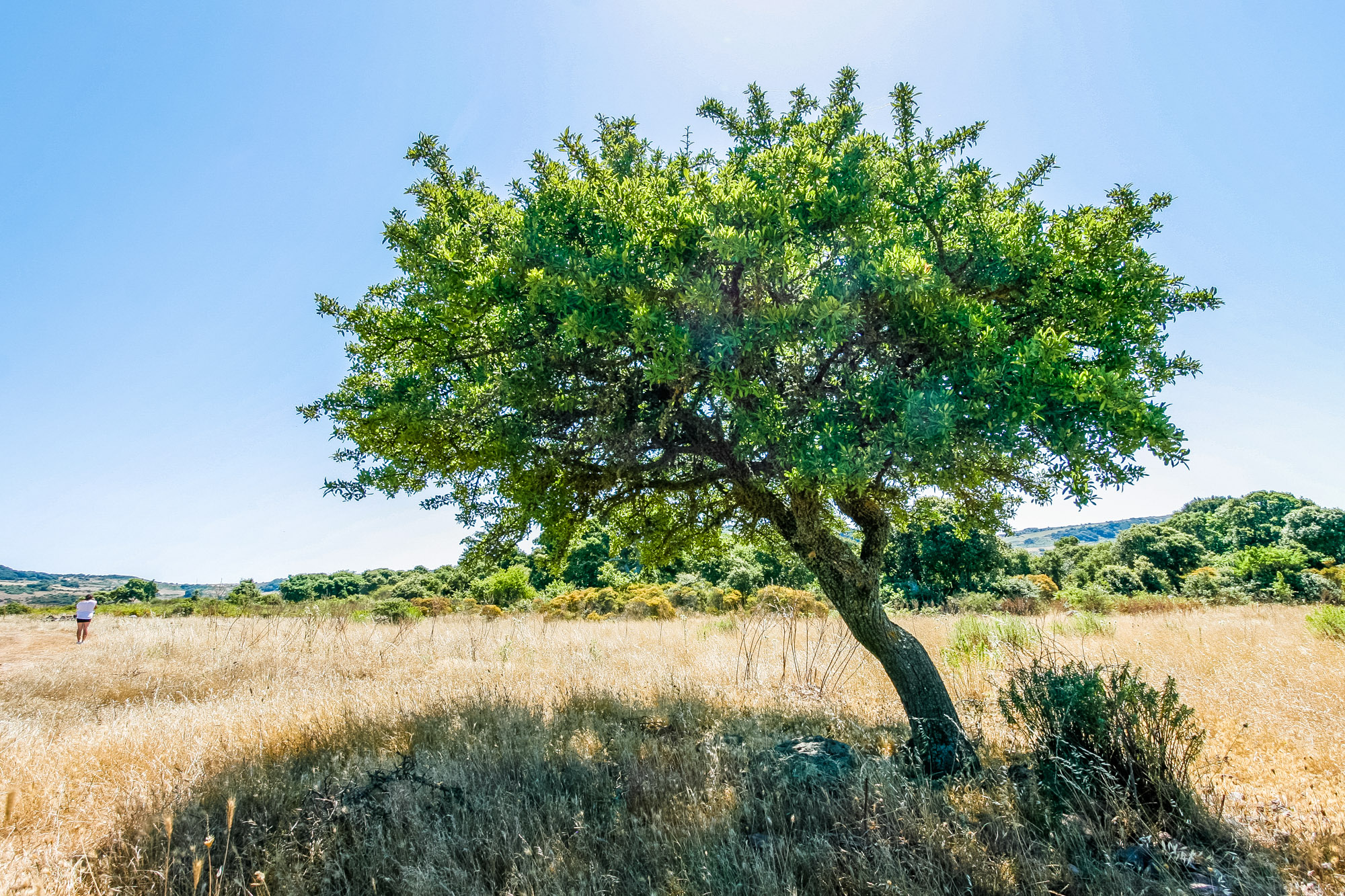 Sardinien-6