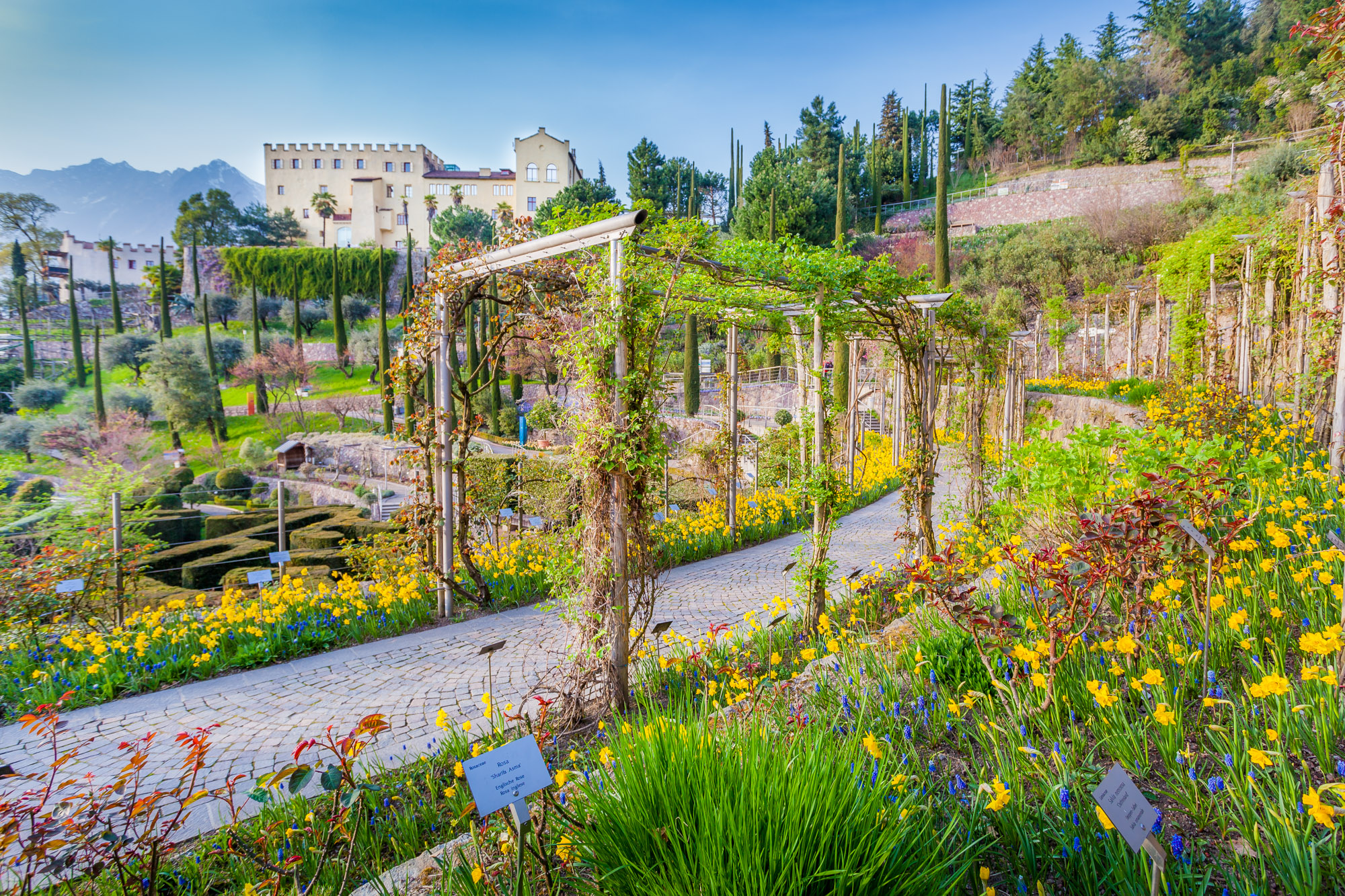 Trauttmansdorff-Garten-1